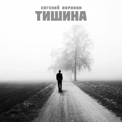 Евгений Воронин - Тишина (2023)