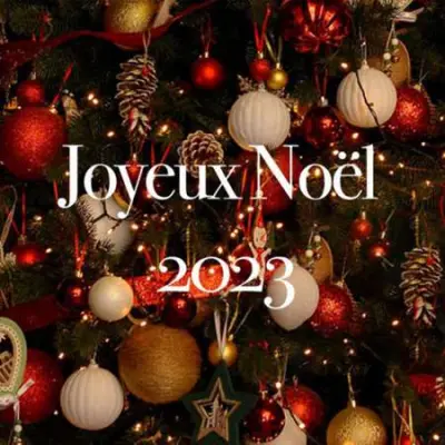 Joyeux Noël 2023 (2023)