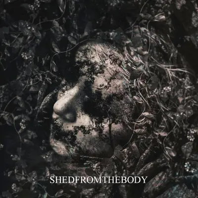Shedfromthebody - Дискография (2020-2023)