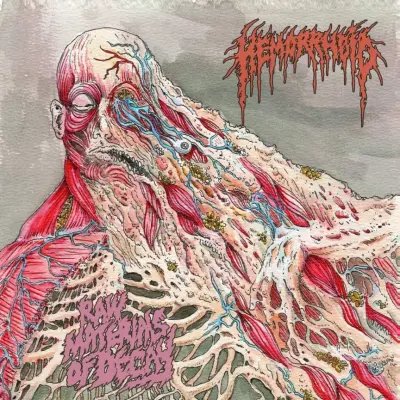 Hemorrhoid - Raw Materials of Decay (2024)