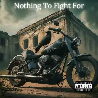 DS Caw - Nothing To Fight For (2024