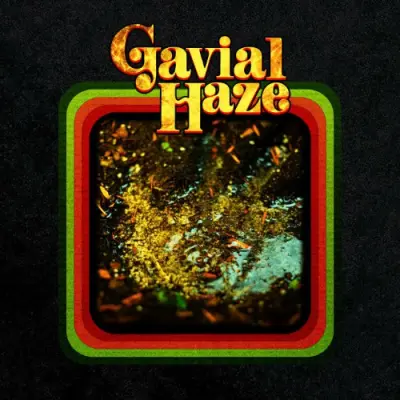 Gavial Haze - Gavial Haze (2024)