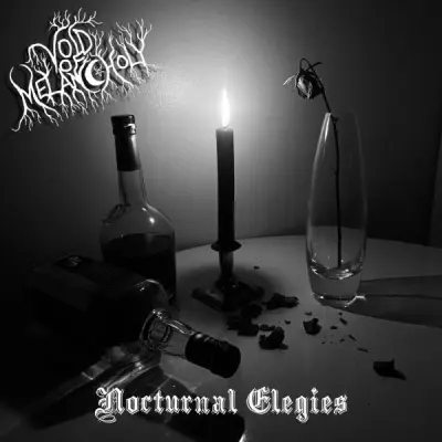 Void Of Melancholy - Nocturnal Elegies (2024)