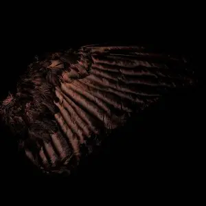 Fryktelig Støy - Incandescent (2025)