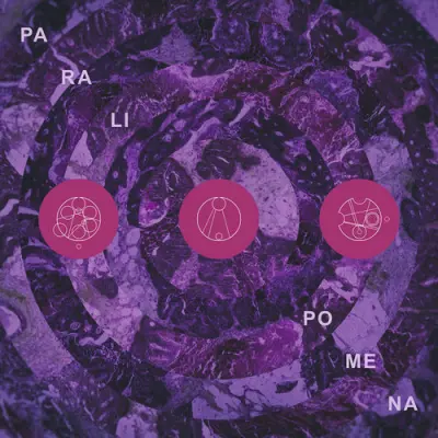 Pillars Of Cacophony - Paralipomena (2025)