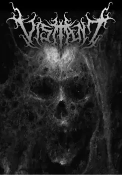 Visitant - Дискография (2022-2025)