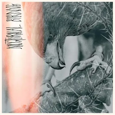 Author & Punisher - Nocturnal Birding (2025)