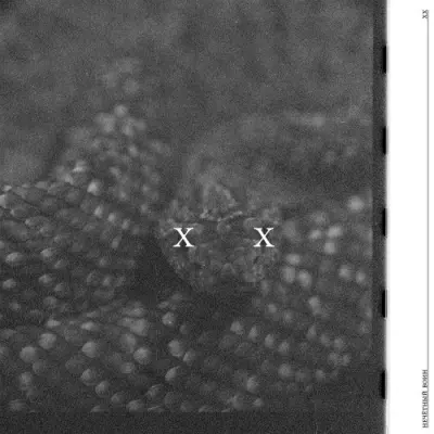 Би-2 - Нечётный воин XX (2025)