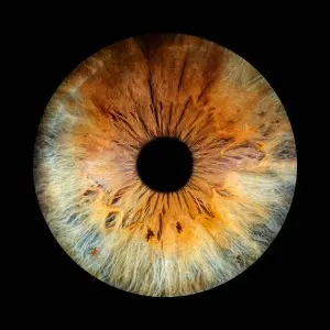 Andrew Weiss - The Last of the Outdoor Kids (2025)