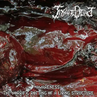 Insane Dead - Awareness: The Horrific Rotting Of A Living Structure (2025)