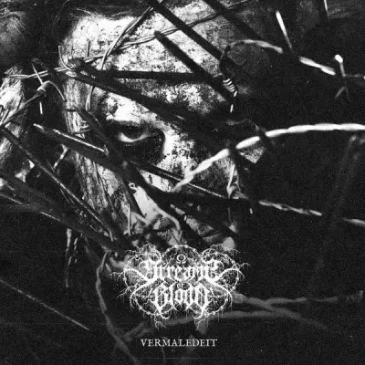 Streams of Blood - Vermaledeit (2025)