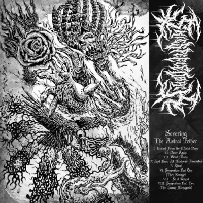 Skies Peeled Back - Severing The Astral Tether (2026)