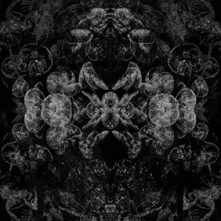 Mellonella - Galleria (2026)