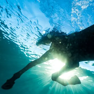 Dream Nails - You Wish (2026)