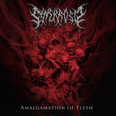 Synekrosis - Amalgamation of Flesh (2026)