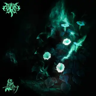 Asylum TX - Cultus Inoxia (2026)