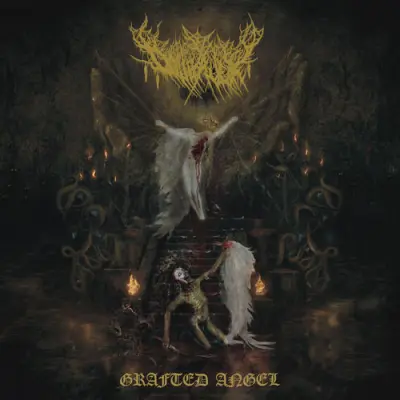 Dollhaver - Grafted Angel (2026)