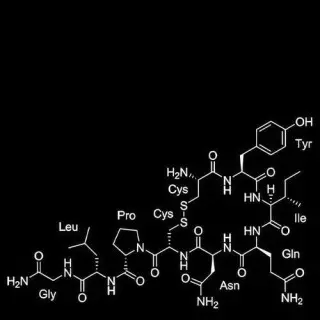 KING 810 - K8 rustbelt numetal 3 (2026)