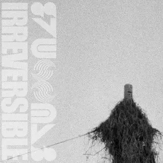 Irreversible - Vessel (2026)