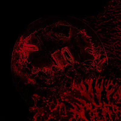 Impure Declaration - Of Veins, Tendons And Bones (2026)