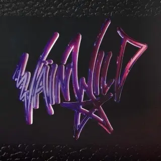 VÄIN WILD - VÄIN WILD