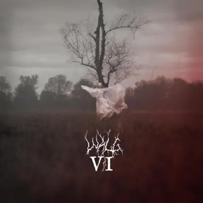 Walg - VI (2026)