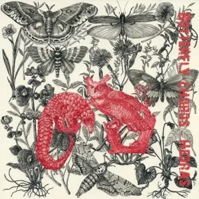 Hedras - Butterfly Chords (2026)