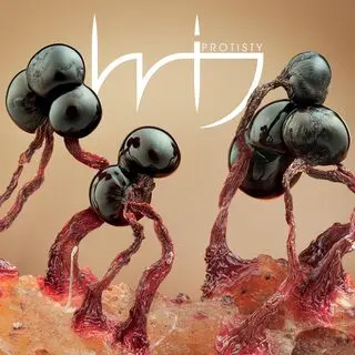 Wij - Protisty (2026)