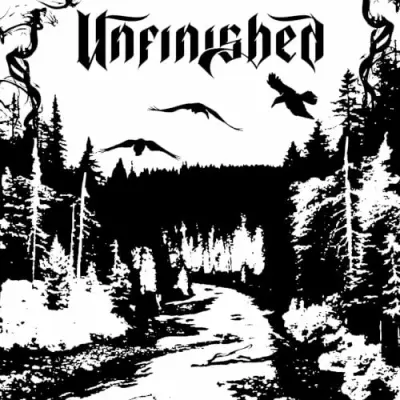 Unfinished - Crow Bird (2026)